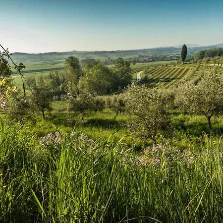 Podere Spazzavento * Rivoli (Pisa)